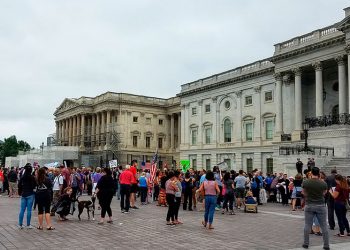 House Committee Finds Military Police Considered Using Heat Technology Against DC Protesters