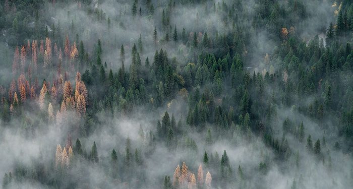 Yosemite National Park Closes to Visitors Due to Hazardous Air and Smoke from Wildfires