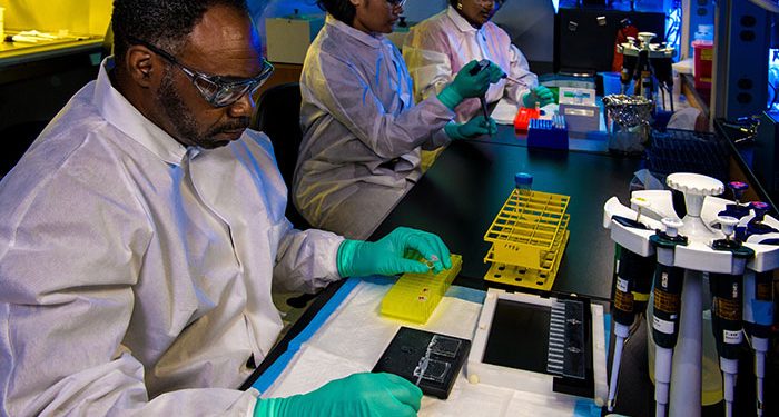 Scientists Reveal What Baby Tyrannosaur Looked Like With the Discovery of a Fossil