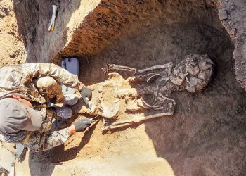 How Humans Survived Wars with Neanderthals Hundreds of Years Ago