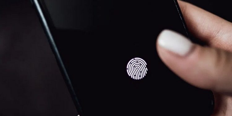 Apple Set to Feature In-Screen Touch and Face ID in Upcoming iPhones Models