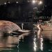 Italian Coast Guard Recovers Remains of a Massive Whale in the Mediterranean Sea