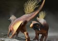 Scientists Discover Fossilized Lair of a Predator That Could Be a Bobbit Worm