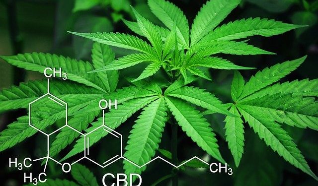 Oregon Decriminalizes Drug Use; to Fine and Rehabilitate Offenders Instead of Incarceration