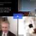 Texas Lawyer Appears in Zoom Court Proceeding as a Cat; Says He’s Not a Real Cat