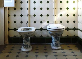 Is a Bidet Really Life Changing?